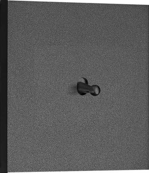 Image detail