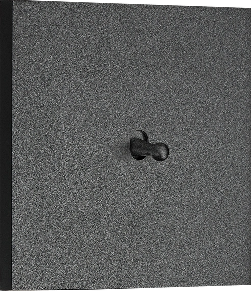 Image detail